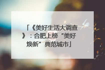 《美好生活大调查》：合肥上榜“美好焕新”典范城市