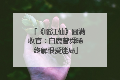 《临江仙》圆满收官：白鹿曾舜晞终解恨爱迷局