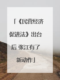 《民营经济促进法》出台后 张江有了新动作