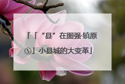 「“县”在图强·镇原⑤」小县城的大变革