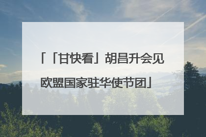 「甘快看」胡昌升会见欧盟国家驻华使节团