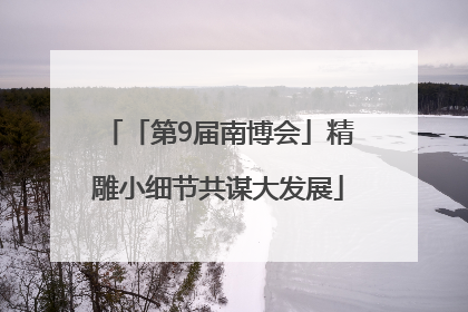 「第9届南博会」精雕小细节共谋大发展