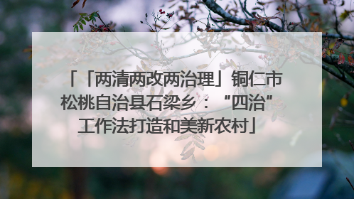 「两清两改两治理」铜仁市松桃自治县石梁乡：“四治”工作法打造和美新农村