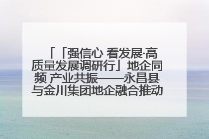 「强信心 看发展·高质量发展调研行」地企同频 产业共振——永昌县与金川集团地企融合推动重大项目建设