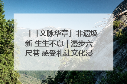 「文脉华章」非遗焕新 生生不息｜漫步六尺巷 感受礼让文化浸润的“巷”往生活