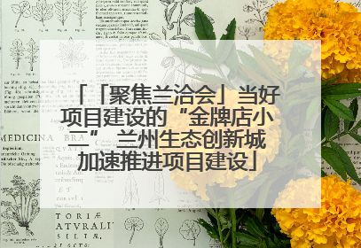 「聚焦兰洽会」当好项目建设的“金牌店小二” 兰州生态创新城加速推进项目建设