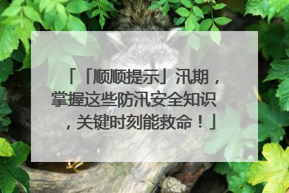 「顺顺提示」汛期，掌握这些防汛安全知识，关键时刻能救命！