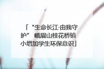 “生命长江·由我守护” 峨眉山桂花桥镇小增加学生环保意识