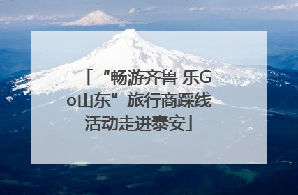 “畅游齐鲁 乐Go山东”旅行商踩线活动走进泰安