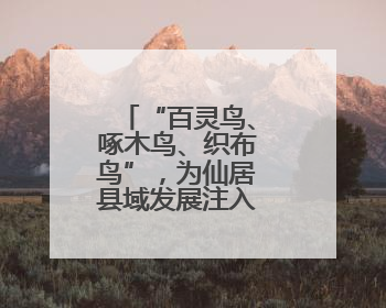 “百灵鸟、啄木鸟、织布鸟”，为仙居县域发展注入“新”动能