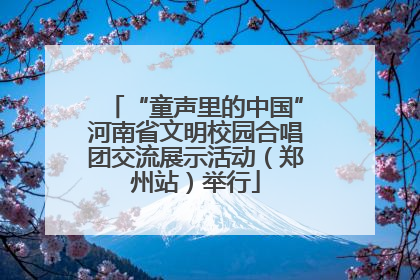 “童声里的中国”河南省文明校园合唱团交流展示活动（郑州站）举行