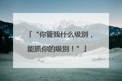 “你管我什么级别，能抓你的级别！”