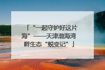 “一起守护好这片海”——天津渤海湾畔生态“蜕变记”