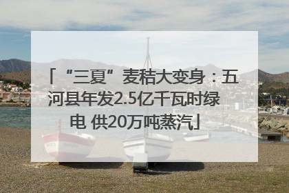 “三夏”麦秸大变身：五河县年发2.5亿千瓦时绿电 供20万吨蒸汽
