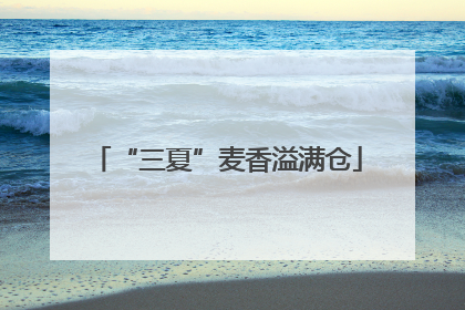 “三夏”麦香溢满仓