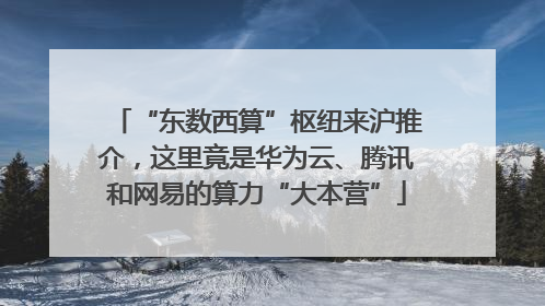 “东数西算”枢纽来沪推介，这里竟是华为云、腾讯和网易的算力“大本营”