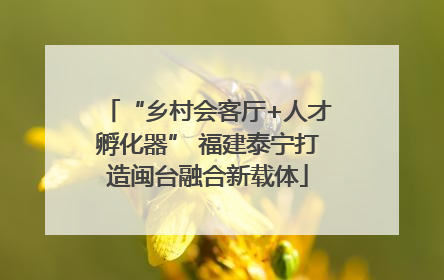 “乡村会客厅+人才孵化器” 福建泰宁打造闽台融合新载体