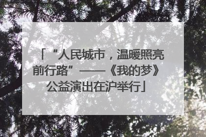 “人民城市，温暖照亮前行路”——《我的梦》公益演出在沪举行