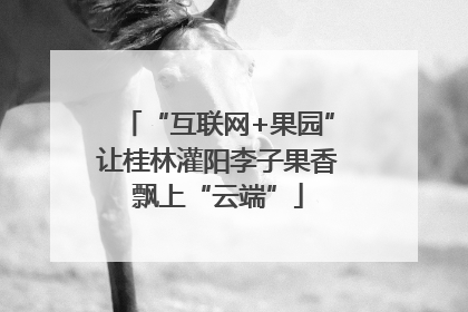 “互联网+果园”让桂林灌阳李子果香飘上“云端”