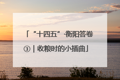 “十四五”·衡阳答卷③｜收粮时的小插曲