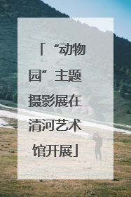 “动物园”主题摄影展在清河艺术馆开展