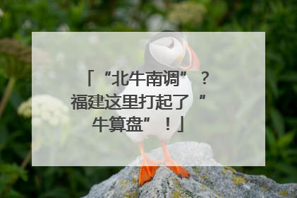 “北牛南调”？福建这里打起了“牛算盘”！