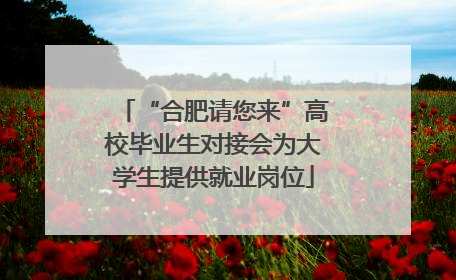 “合肥请您来”高校毕业生对接会为大学生提供就业岗位