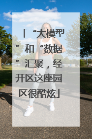“大模型”和“数据”汇聚，经开区这座园区很酷炫