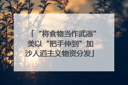 “将食物当作武器” 美以“把手伸到”加沙人道主义物资分发