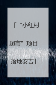 “小红村超市”项目落地安吉