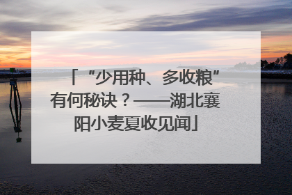 “少用种、多收粮”有何秘诀？——湖北襄阳小麦夏收见闻