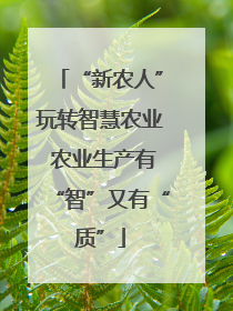 “新农人”玩转智慧农业 农业生产有“智”又有“质”