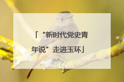 “新时代党史青年说”走进玉环
