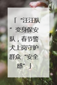 “汪汪队”变身保安队，春节警犬上岗守护群众“安全感”
