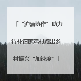 “沪滇协作”助力待补镇鹧鸡村跑出乡村振兴“加速度”