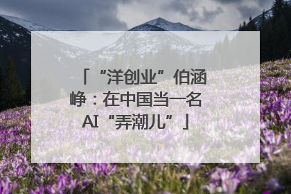 “洋创业”伯涵峥：在中国当一名AI“弄潮儿”
