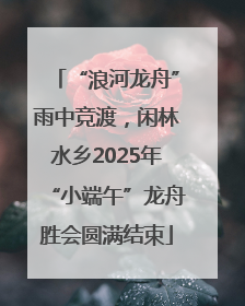 “浪河龙舟”雨中竞渡，闲林水乡2025年“小端午”龙舟胜会圆满结束
