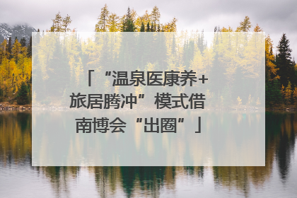 “温泉医康养+旅居腾冲”模式借南博会“出圈”