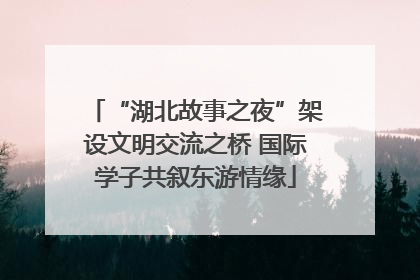 “湖北故事之夜”架设文明交流之桥 国际学子共叙东游情缘