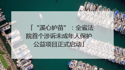 “溪心护苗”：全省法院首个涉诉未成年人保护公益项目正式启动