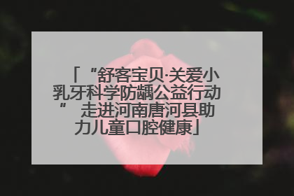 “舒客宝贝·关爱小乳牙科学防龋公益行动” 走进河南唐河县助力儿童口腔健康