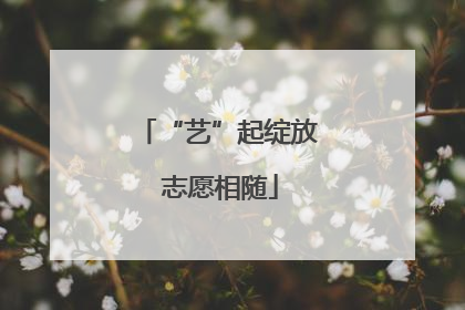 “艺”起绽放 志愿相随
