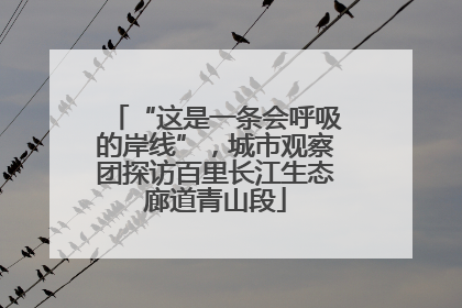“这是一条会呼吸的岸线”，城市观察团探访百里长江生态廊道青山段