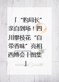 “豹局长”亲自到场！四川攀枝花“自带香味”亮相西博会丨图集