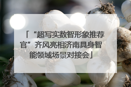 “超写实数智形象推荐官”齐风亮相济南具身智能领域场景对接会