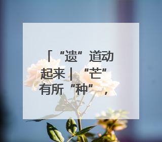 “遗”道动起来｜“芒”有所“种”，一举“糕”中！在桨影拳风里，邂逅最“动”人的风景！（内含报名信息）
