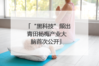 “黑科技”频出 青田杨梅产业大脑首次公开