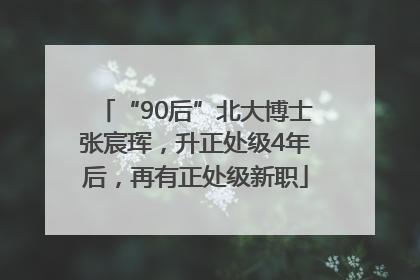 “90后”北大博士张宸珲，升正处级4年后，再有正处级新职