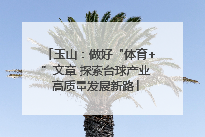 玉山：做好“体育+”文章 探索台球产业高质量发展新路