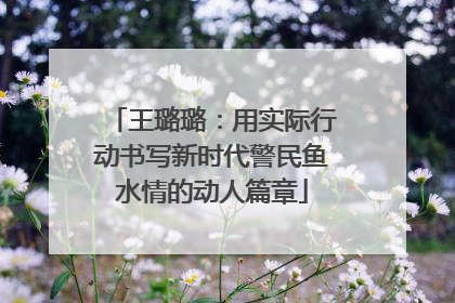 王璐璐：用实际行动书写新时代警民鱼水情的动人篇章